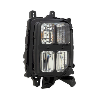 Replace® - Passenger Side Replacement Turn Signal Light (Standard Line)