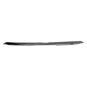 Replace® - Front Bumper Cover Molding (Standard Line)