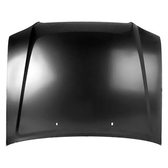 Replace® - Hood Panel (Value Line)