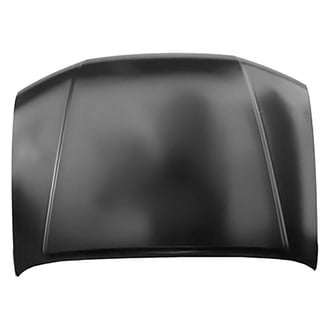 Replace® - Hood Panel (Brand New OE)
