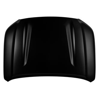 Replace® - Hood Panel (Brand New OE)