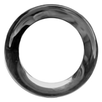Replace® - Front Driver or Passenger Side Fog Light Trim (Standard Line)