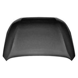 Replace® - Hood Panel (Platinum Plus)