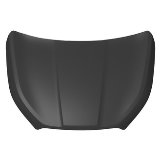 Replace® - Hood Panel (Standard Line)