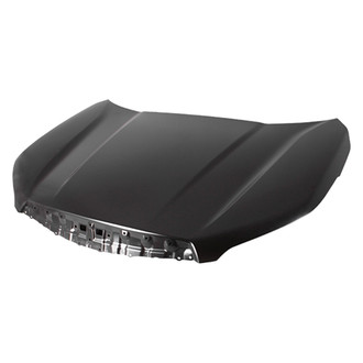 Replace® - Hood Panel (Platinum Plus)