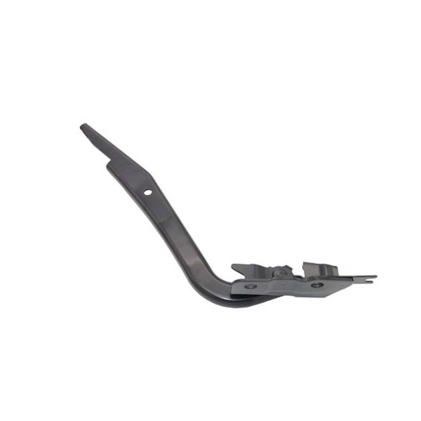 Replace® - Driver Side Hood Hinge