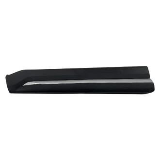 Replace® - Front Driver Side Door Molding (Standard Line)