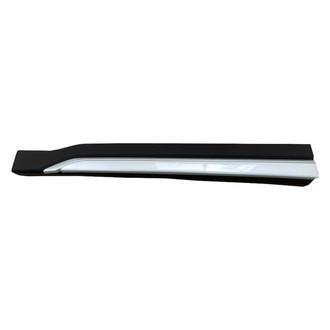 Replace® - Front Driver Side Door Molding (Standard Line)