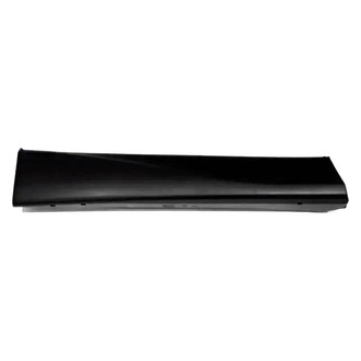 Replace® - Front Passenger Side Door Molding (Standard Line)