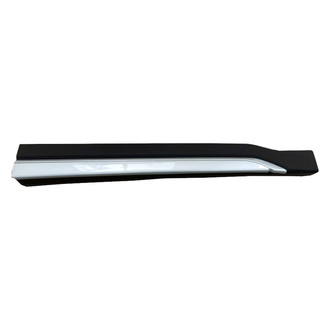 Replace® - Front Passenger Side Door Molding (Standard Line)