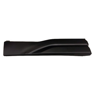 Replace® - Rear Passenger Side Door Molding (Standard Line)