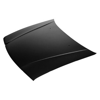 Replace® - Hood Panel (Value Line)