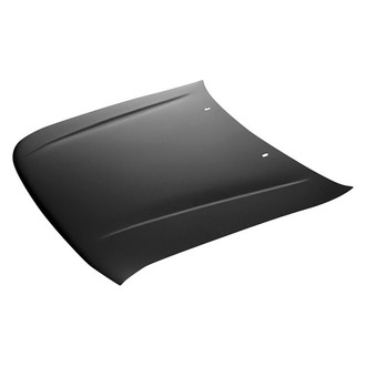 Replace® - Hood Panel (Platinum Plus)