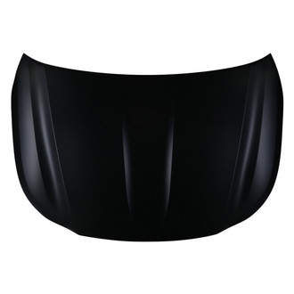 Replace® - Hood Panel (CAPA Certified)