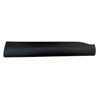 Replace® - Front Passenger Side Door Molding (Standard Line)
