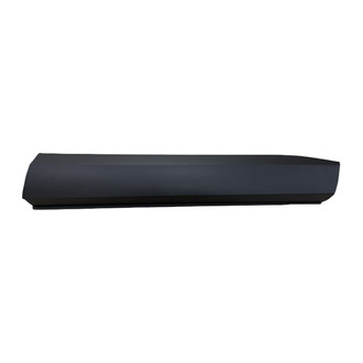 Replace® - Front Passenger Side Door Molding (Standard Line)