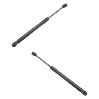 Replace® - Driver and Passenger Side Hood Lift Support Set (Standard Line)