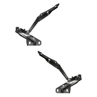 Replace® - Hood Hinge Set (Standard Line)