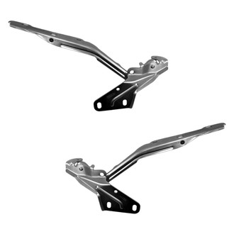 Replace® - Hood Hinge Set (Standard Line)