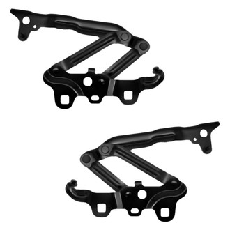 Replace® - Hood Hinge Set (Standard Line)