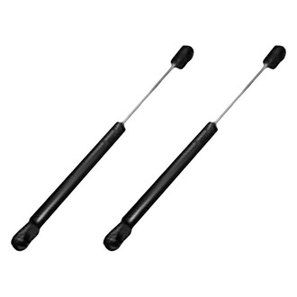 Replace® - Driver and Passenger Side Hood Lift Support Set (Standard Line)