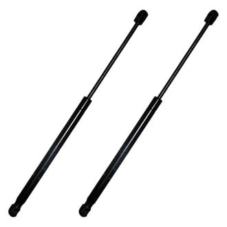 Replace® - Driver and Passenger Side Hood Lift Support Set (Standard Line)