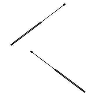 Replace® - Driver and Passenger Side Hood Lift Support Set (Standard Line)