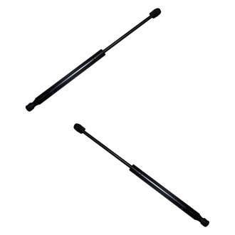 Replace® - Driver and Passenger Side Hood Lift Support Set (Standard Line)