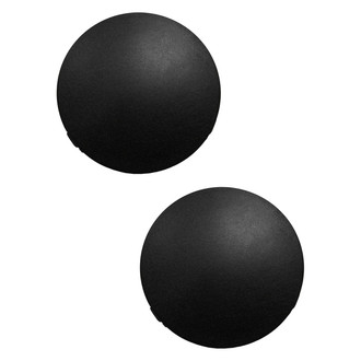 Replace® - Front Driver and Passenger Side Fog Light Cover Set (Standard Line)