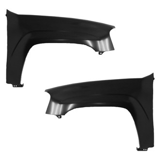 Replace® - Front Driver and Passenger Side Fender Set (Value Line)