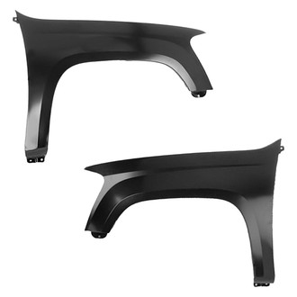 Replace® - Front Driver and Passenger Side Fender Set (Value Line)