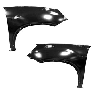 Replace® - Front Driver and Passenger Side Fender Set (Value Line)