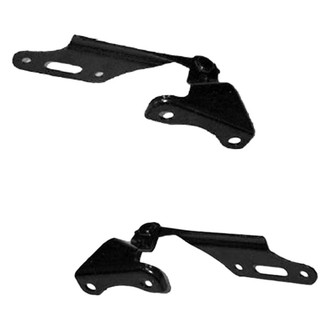 Replace® - Hood Hinge Set (Standard Line)