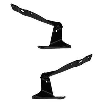 Replace® - Hood Hinge Set (Standard Line)