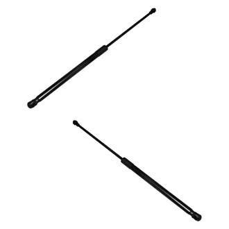 Replace® - Driver and Passenger Side Hood Lift Support Set (Standard Line)