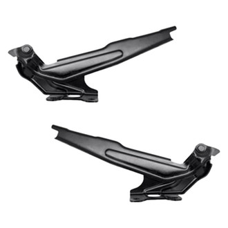 Replace® - Hood Hinge Set (Standard Line)