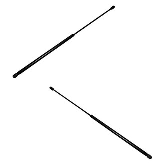 Replace® - Driver and Passenger Side Hood Lift Support Set (Standard Line)
