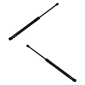 Replace® - Driver and Passenger Side Hood Lift Support Set (Standard Line)