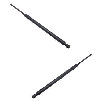 Replace® - Driver and Passenger Side Tailgate Lift Support Set