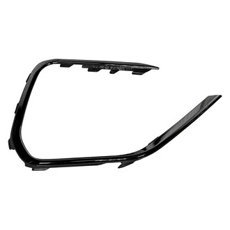 Replace® - Front Passenger Side Bumper Cover Grille Molding (Standard Line)