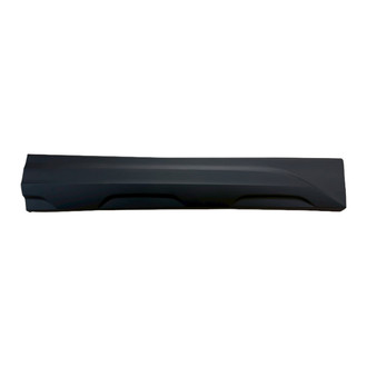 Replace® - Front Passenger Side Door Molding (Standard Line)