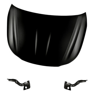 Replacement - 3-Piece (Hood Panel, Driver and Passenger Side Hood Hinge) (Standard Line)