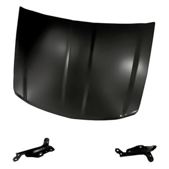 Replacement - 3-Piece (Hood Panel, Driver and Passenger Side Hood Hinge)