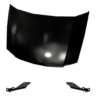 Replacement - 3-Piece (Hood Panel, Driver and Passenger Side Hood Hinge) (Standard Line)