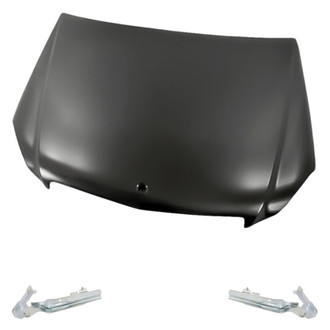 Replacement - 3-Piece (Hood Panel, Driver and Passenger Side Hood Hinge) (Standard Line)