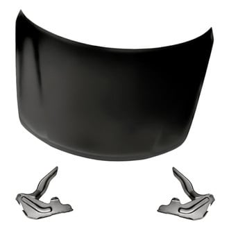 Replacement - 3-Piece (Hood Panel, Driver and Passenger Side Hood Hinge) (Standard Line)