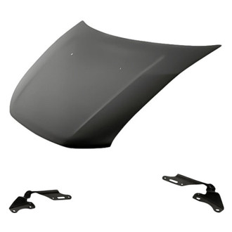 Replacement - 3-Piece (Hood Panel, Driver and Passenger Side Hood Hinge) (Standard Line)