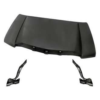 Replacement - 3-Piece (Hood Panel, Driver and Passenger Side Hood Hinge) (Standard Line)