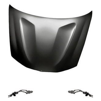 Replacement - 3-Piece (Hood Panel, Driver and Passenger Side Hood Hinge) (Standard Line)
