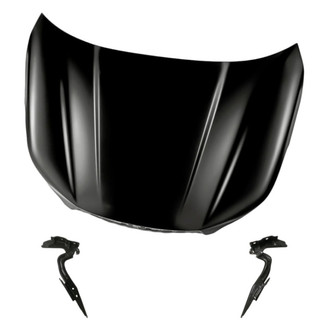 Replacement - 3-Piece (Hood Panel, Driver and Passenger Side Hood Hinge) (Standard Line)